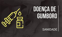 Banner Doença de Gumboro