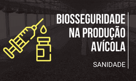 Banner Biosseguridade na produção avícola