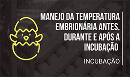 Banner Manejo da Temperatura Embrionária